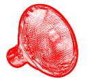 Klematis